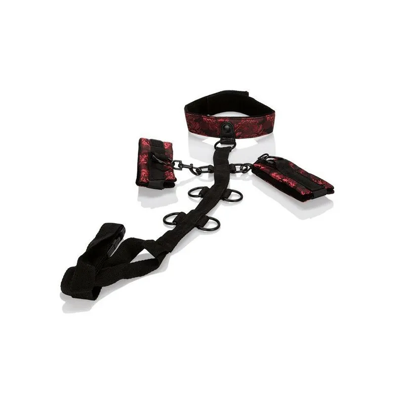 Фиксация для рук и шеи Scandal Collar Body Restraint
