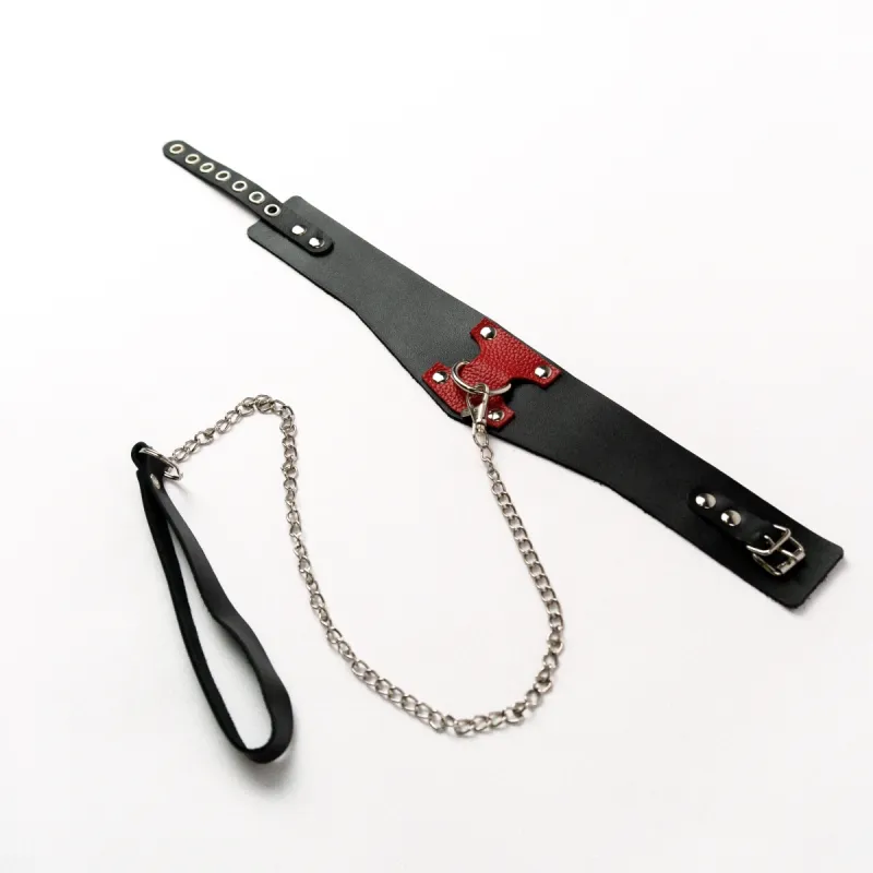 Ошейник с красным декором