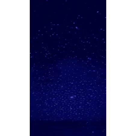 Pulse Galaxie Вакуумный стимулятор, лиловый