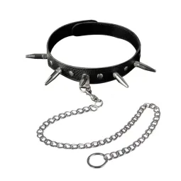 3103-1 Ошейник черный с поводком