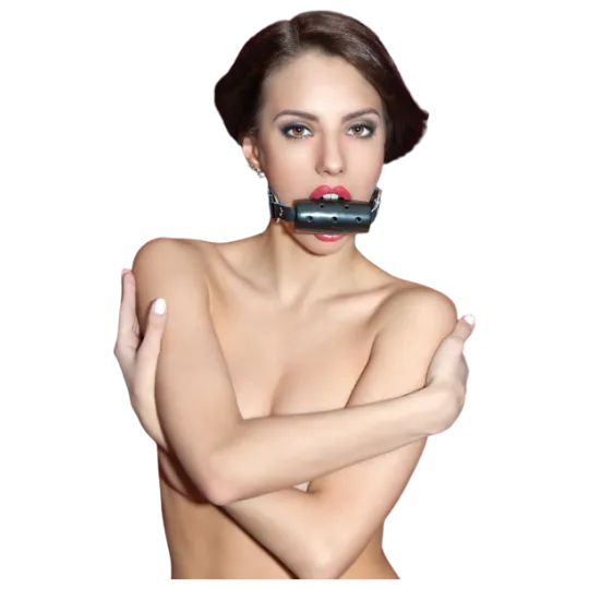 Кляп-трензель