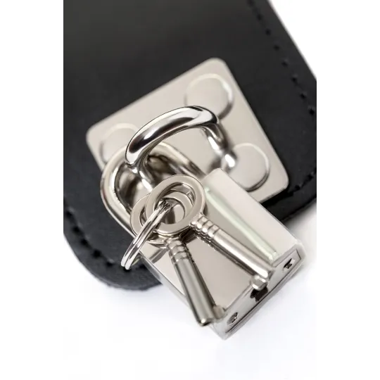 КОМПЛЕКТ БОНДАЖНЫЙ TOYFA THEATRE ,КОЖАННЫЙ