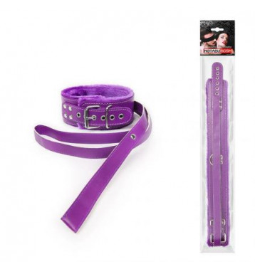 Фиолетовый ошейник на поводке с ручкой-петлей