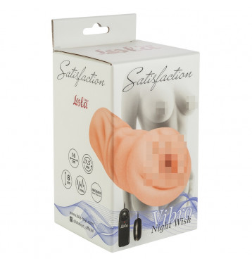 Мастурбатор Satisfaction Vibro Night Wish