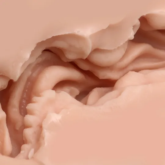 Мастурбатор Naked Factory V-01, вагина