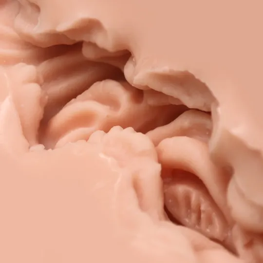 Мастурбатор Naked Factory V-01, вагина