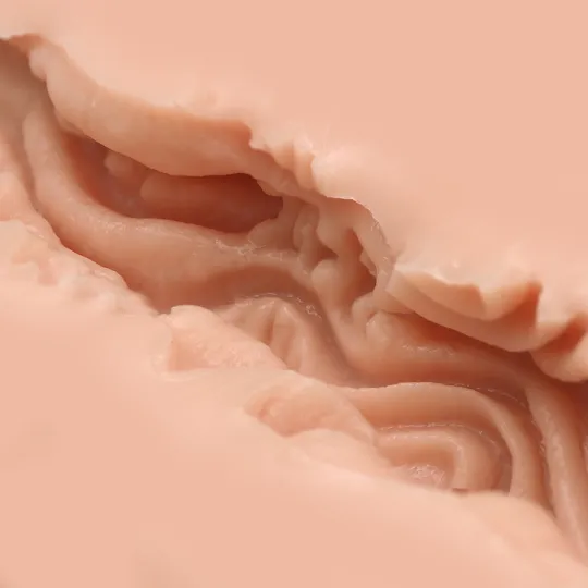 Мастурбатор Naked Factory V-04, вагина