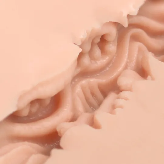 Мастурбатор Naked Factory V-04, вагина