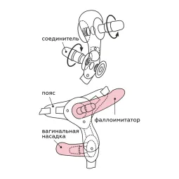 Пояс Exotic-Linda с 2 насадками