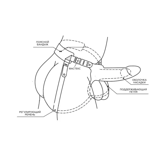 Фаллоимитатор поясной пустотелый с бандажом 741703