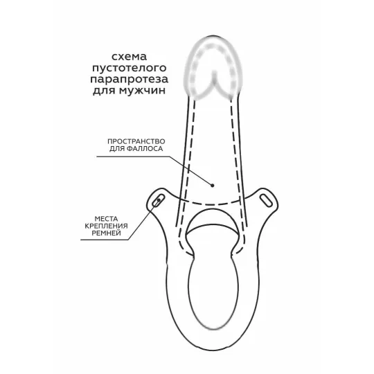 Фаллоимитатор поясной пустотелый с бандажом 741703