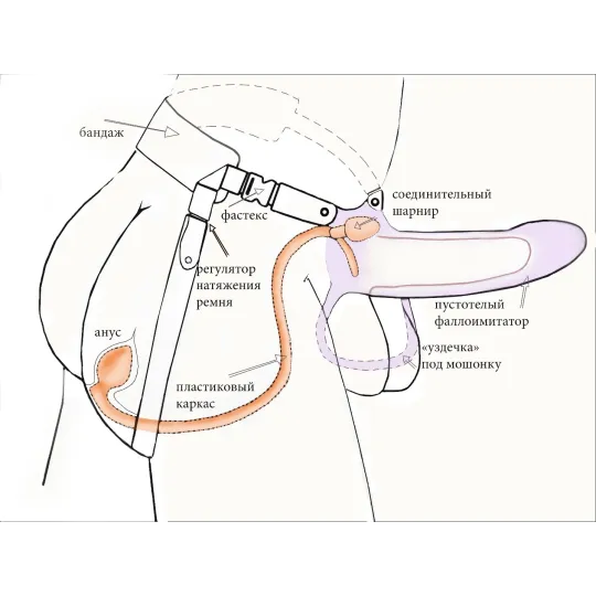 Фаллоимитатор поясной каркасный ( пустотелый ) с бандажом